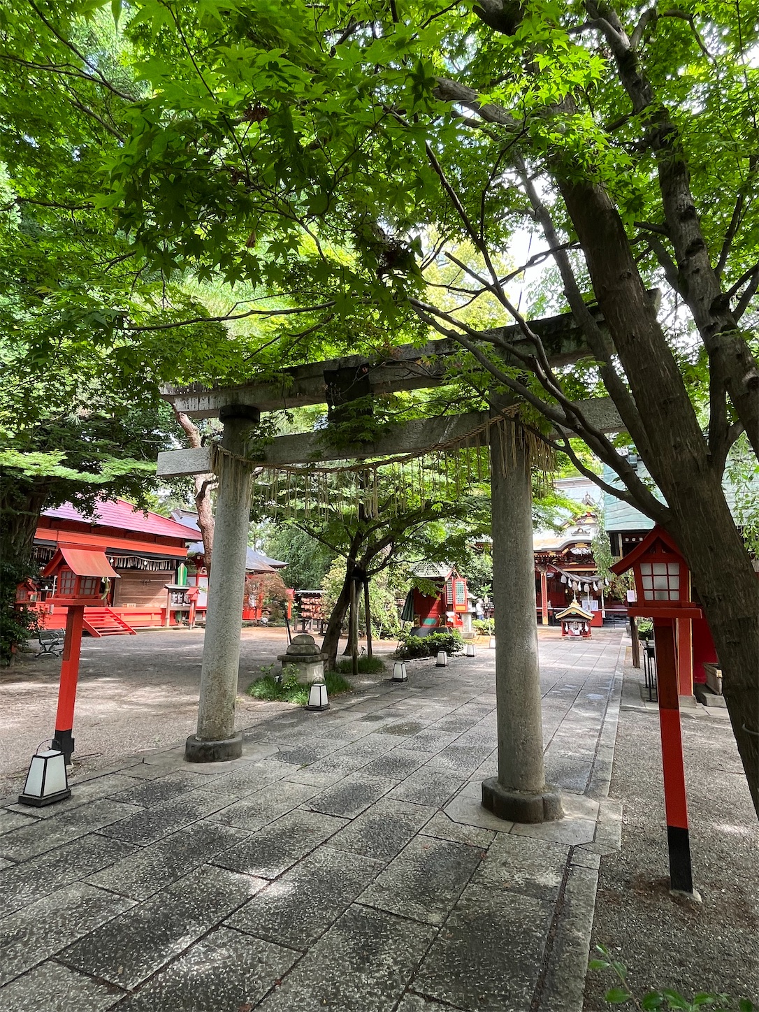 f:id:ma-taru:20220522105308j:image f:id:ma-taru:20220522105308j:image