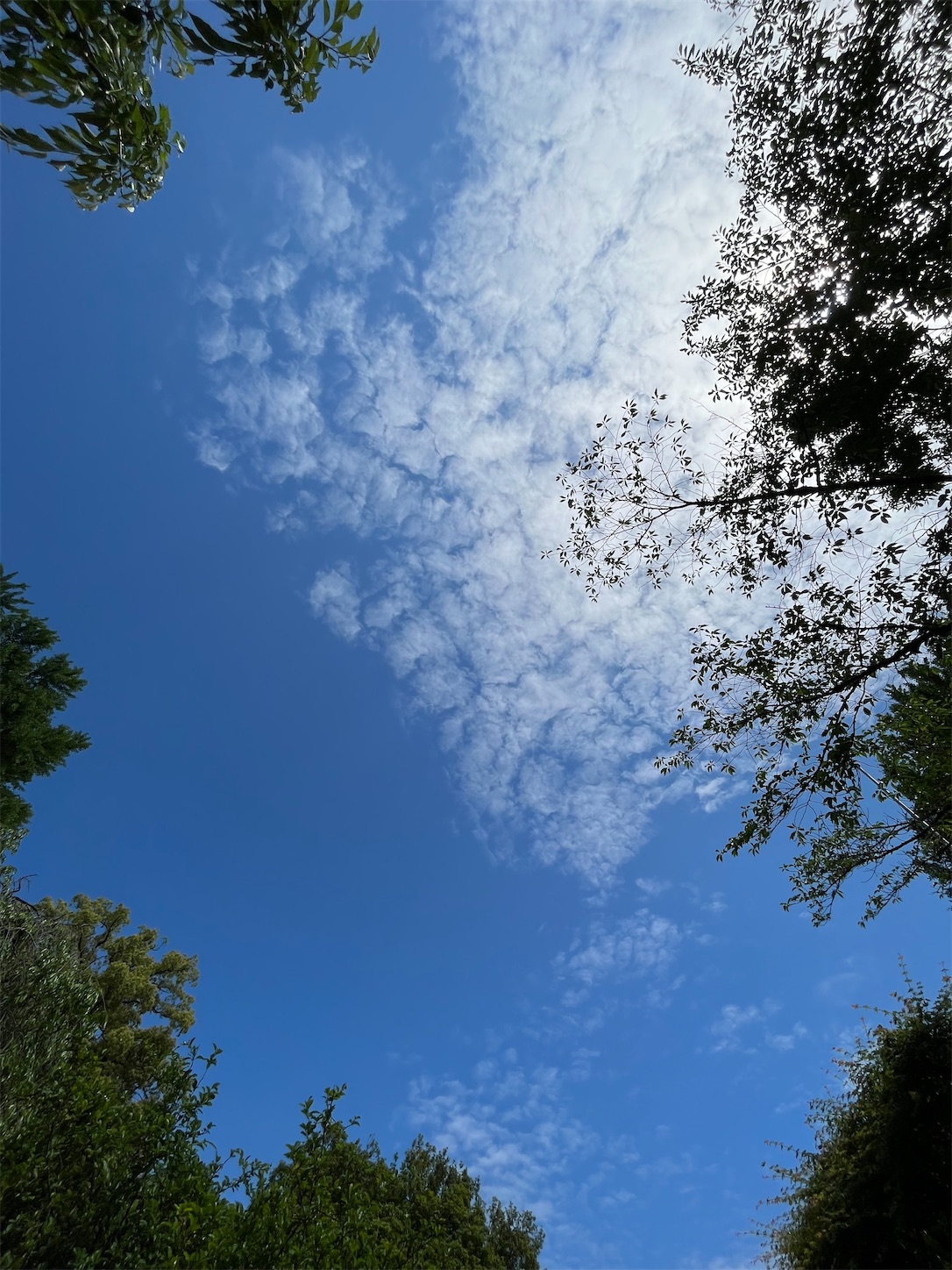 f:id:ma-taru:20220522110941j:image f:id:ma-taru:20220522110941j:image