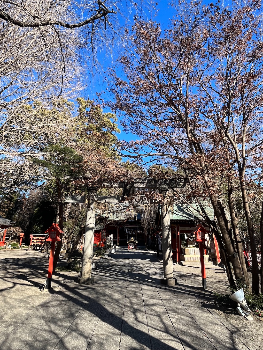 f:id:ma-taru:20230205144014j:image f:id:ma-taru:20230205144014j:image