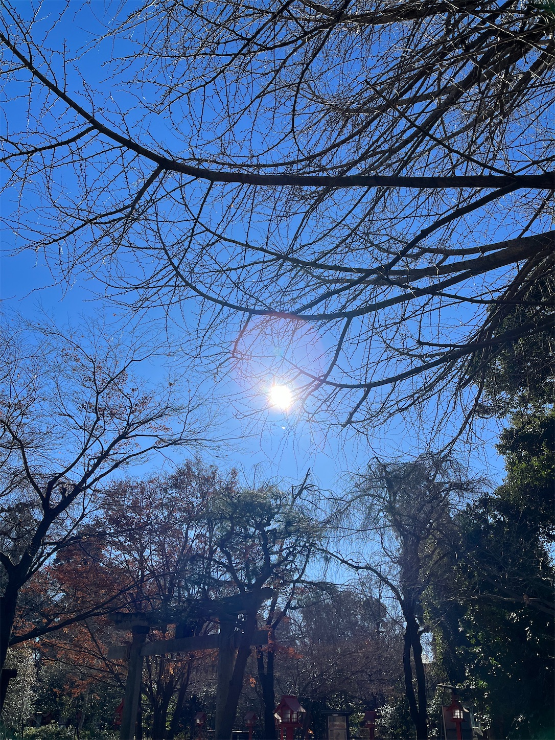 f:id:ma-taru:20230205150127j:image f:id:ma-taru:20230205150127j:image