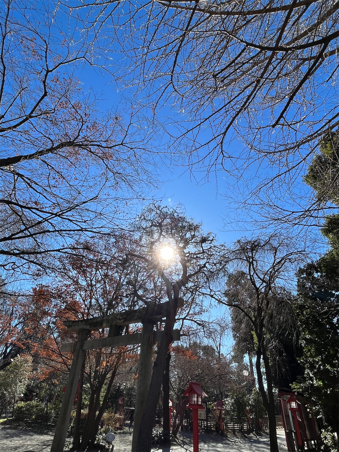 f:id:ma-taru:20230205150131j:image f:id:ma-taru:20230205150131j:image