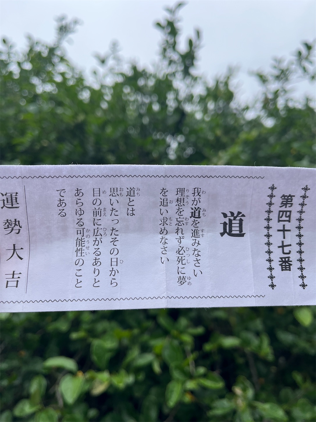 f:id:ma-taru:20260705134231j:image