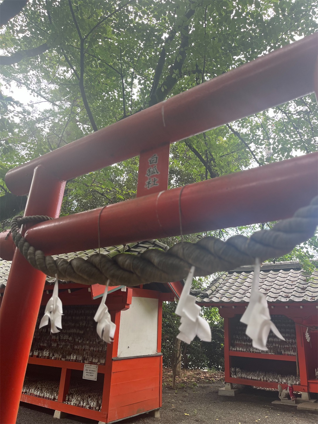 f:id:ma-taru:20260719153704j:image