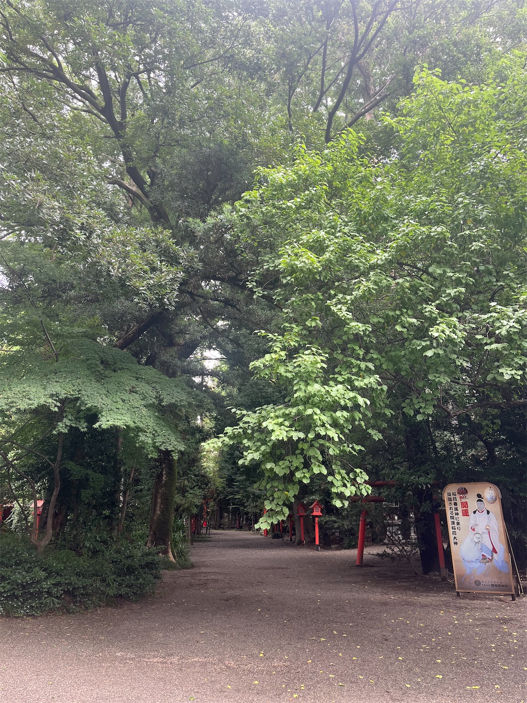 f:id:ma-taru:20260719154937j:image
