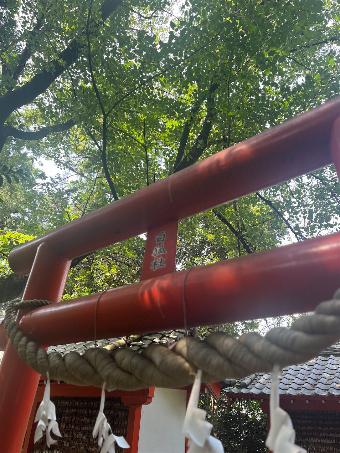 f:id:ma-taru:20260802155401j:image