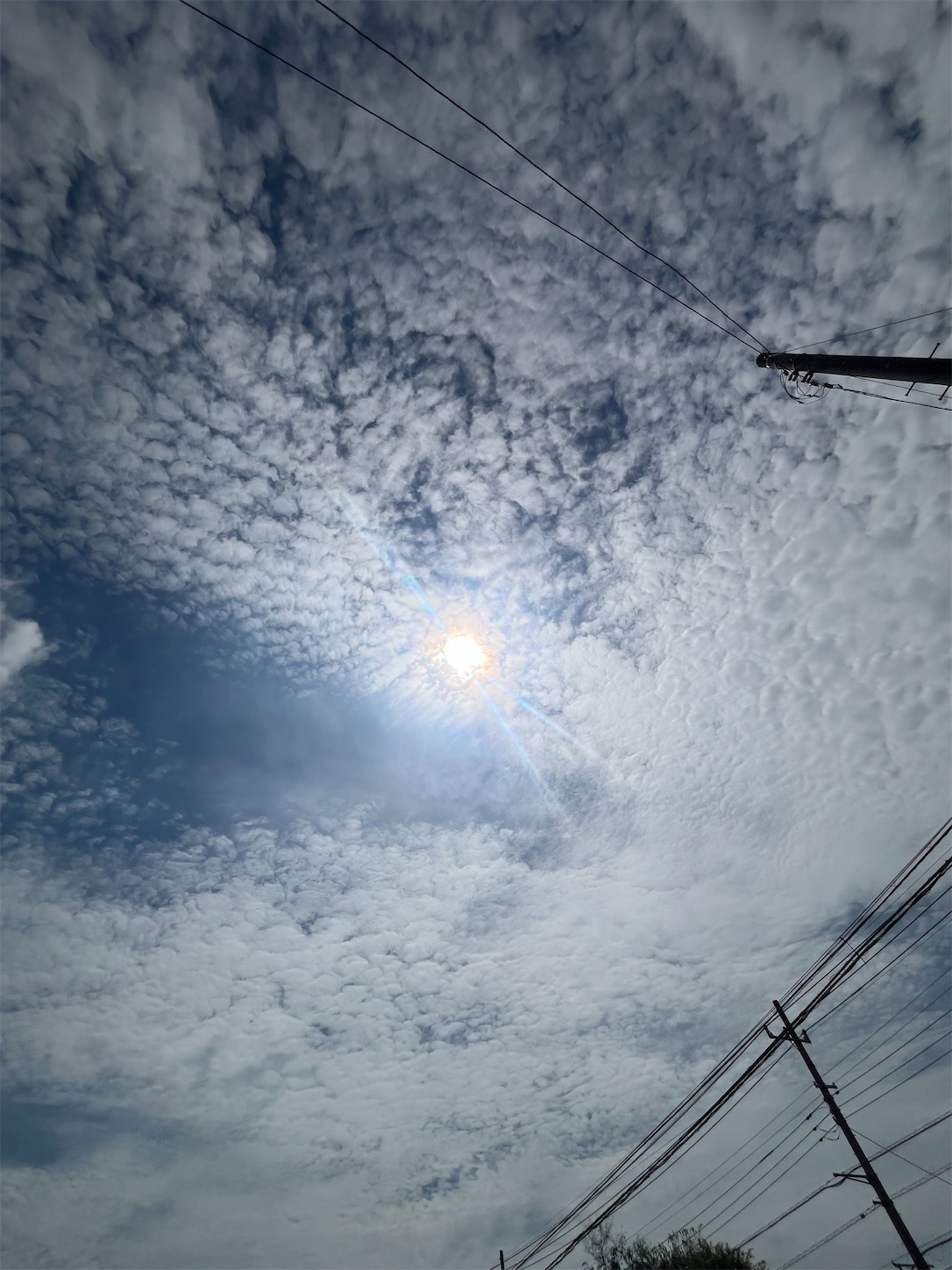 f:id:ma-taru:20260809174916j:image
