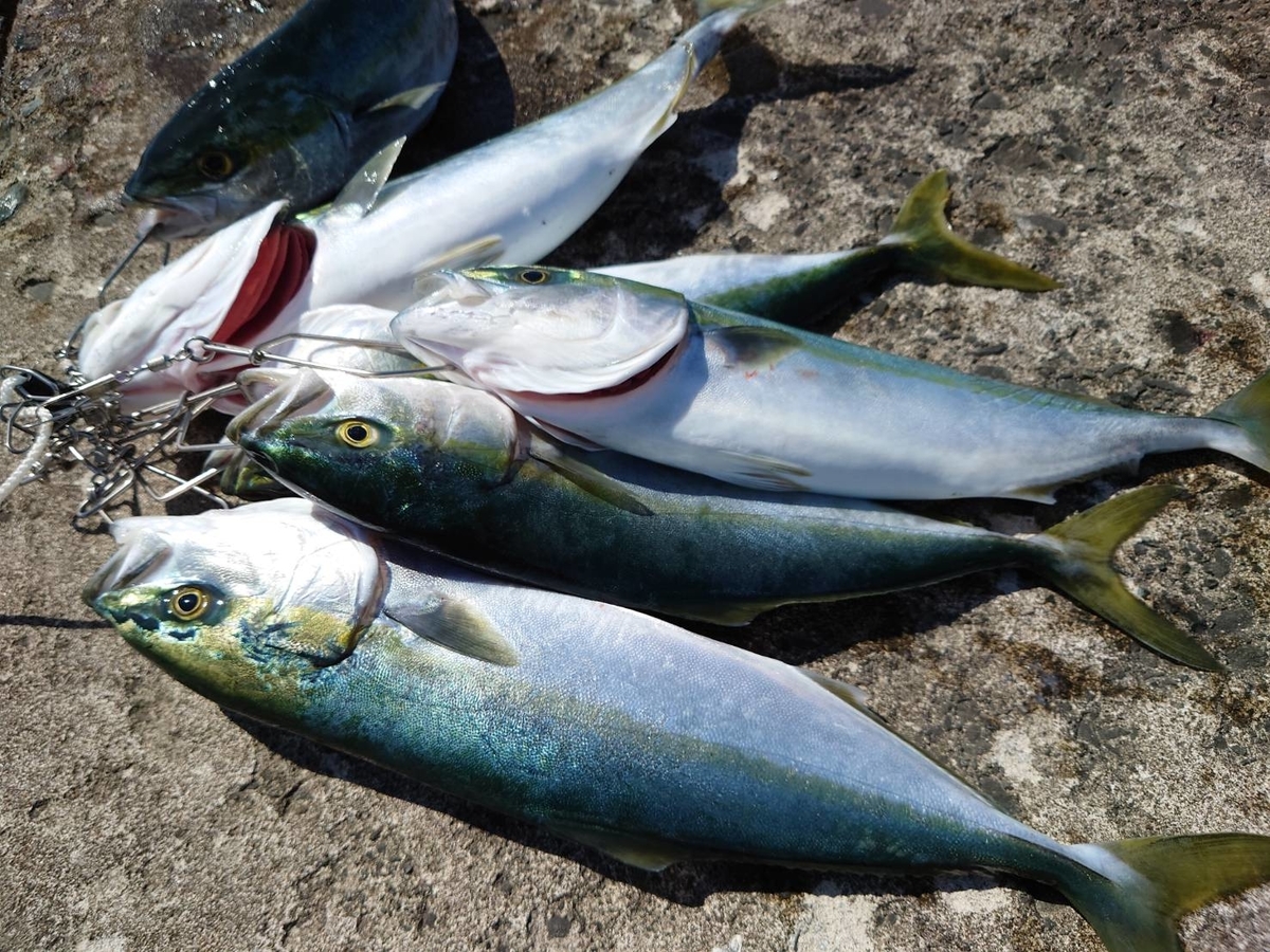 f:id:ma0208:20210619222459j:plain