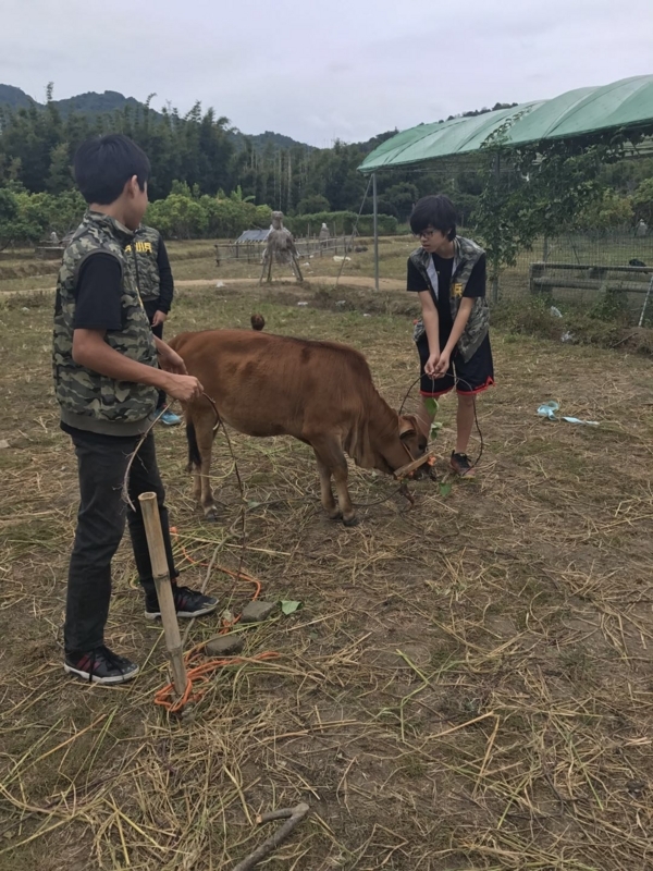 f:id:ma0430:20171114104053j:image:w360