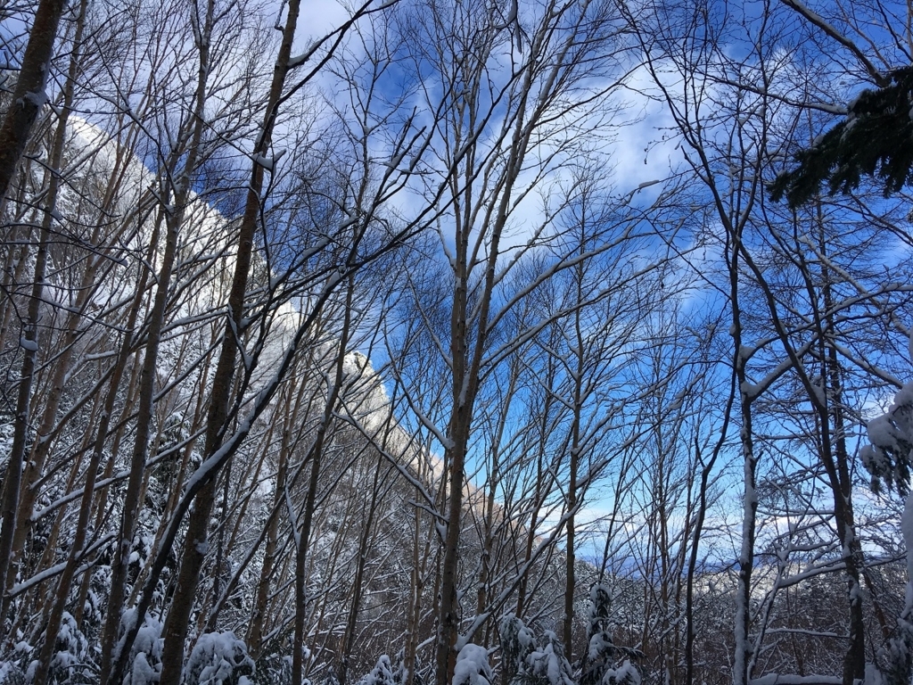 f:id:ma2-hiro3:20171207174003j:plain f:id:ma2-hiro3:20171207174003j:plain