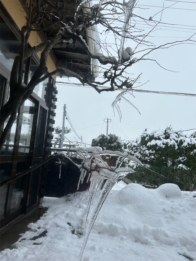 f:id:ma2saka:20231221132342j:image