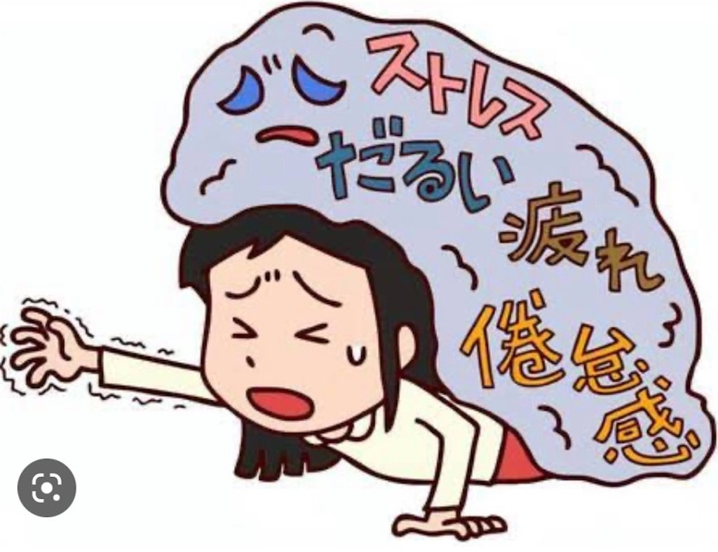 f:id:ma8n:20230126001441j:image