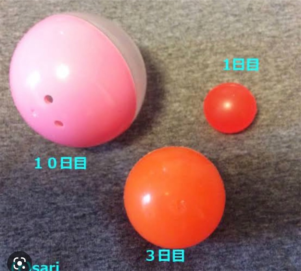 f:id:ma8n:20230310215155j:image