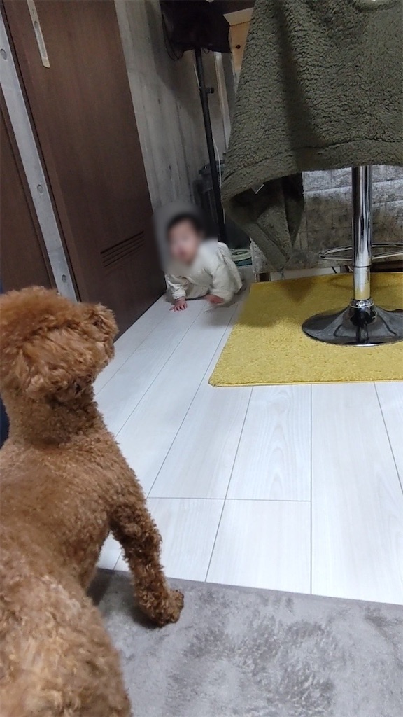f:id:ma_2847:20230306001404j:image f:id:ma_2847:20230306001404j:image