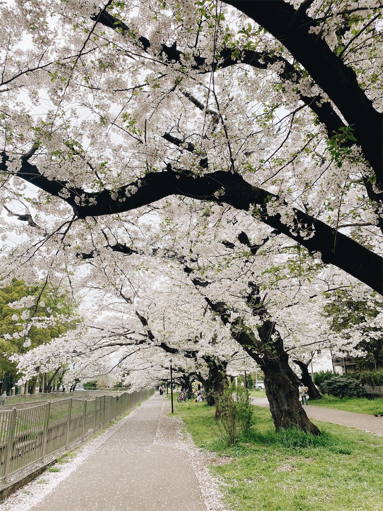 f:id:ma___66db:20240409004656j:image