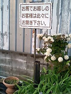 f:id:ma_ko:20080517172623j:image