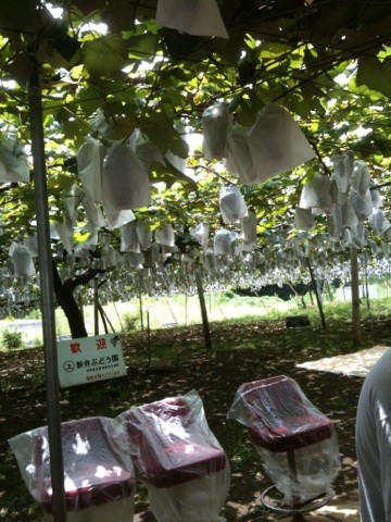 f:id:ma_ko:20090817125732j:image:w300:left f:id:ma_ko:20090817125732j:image:w300:left
