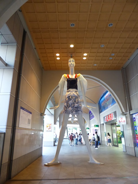 イメージ 1