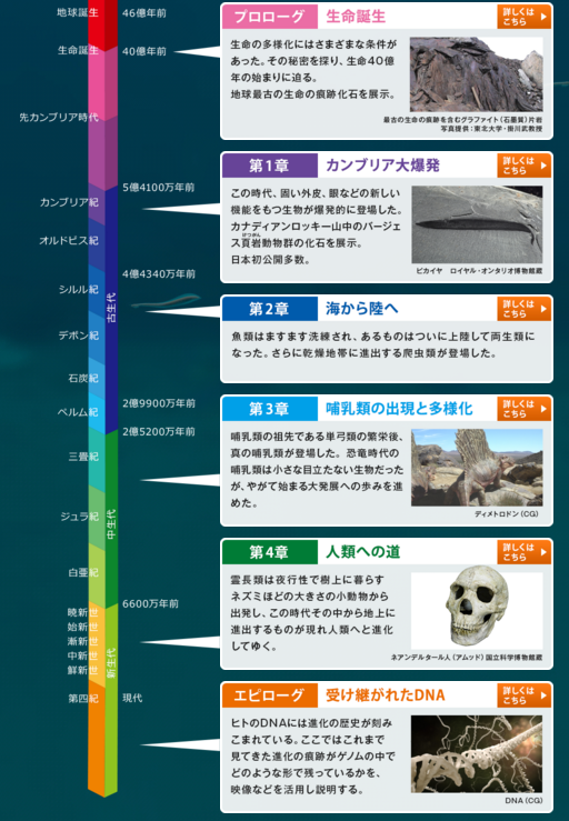 イメージ 22