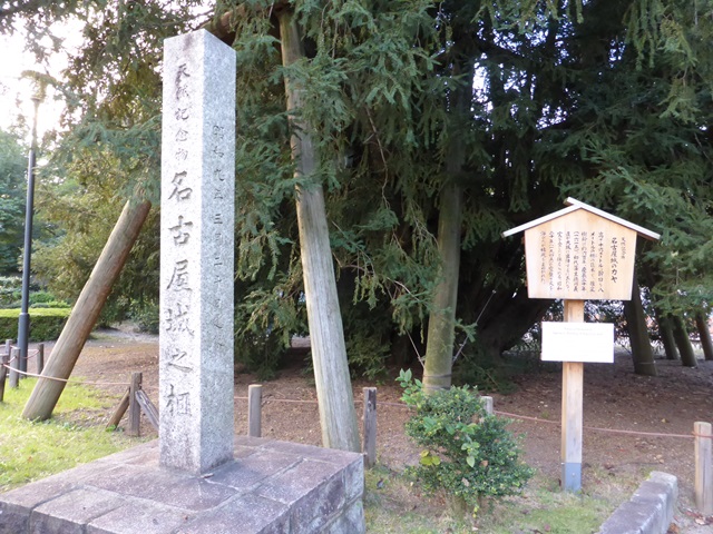 イメージ 18