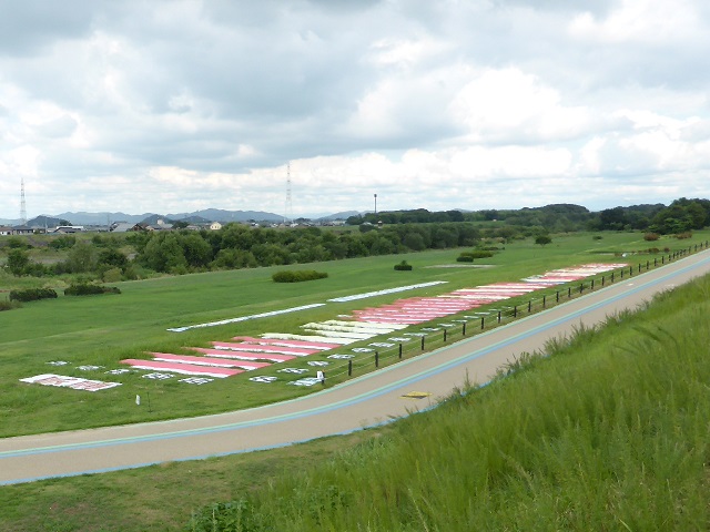 イメージ 2