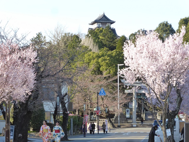 イメージ 2