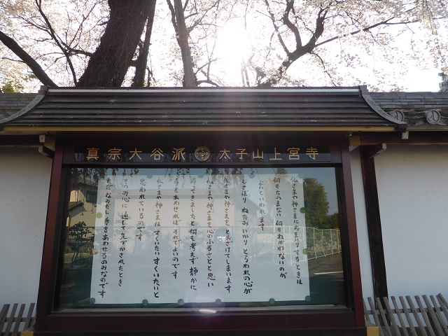 イメージ 8