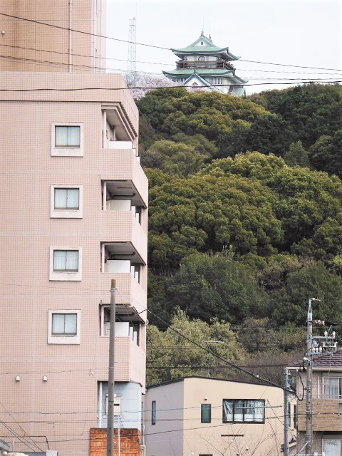 イメージ 15