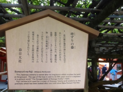 イメージ 8