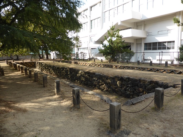 イメージ 6
