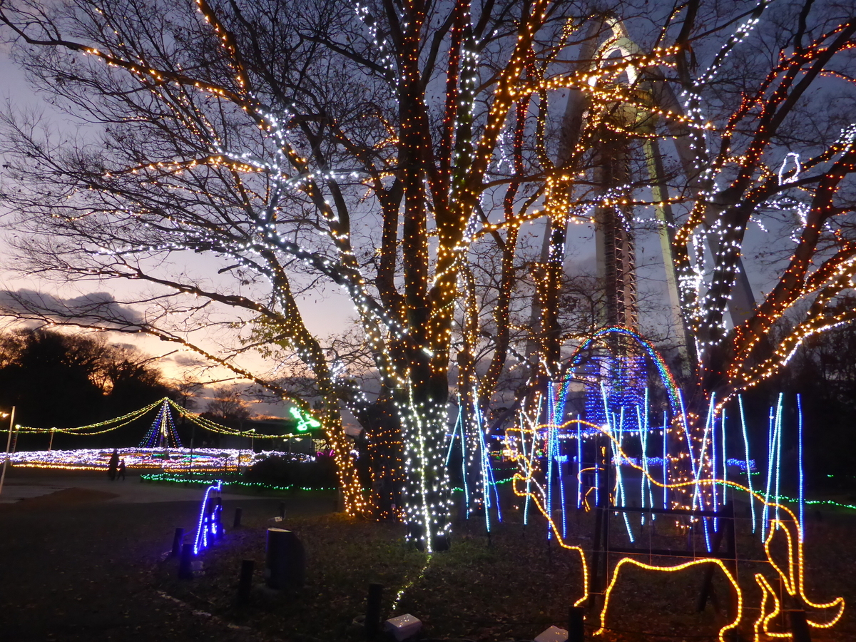 New Year Illumination 138タワーパーク ｅｋｏ の 四 季 折 々