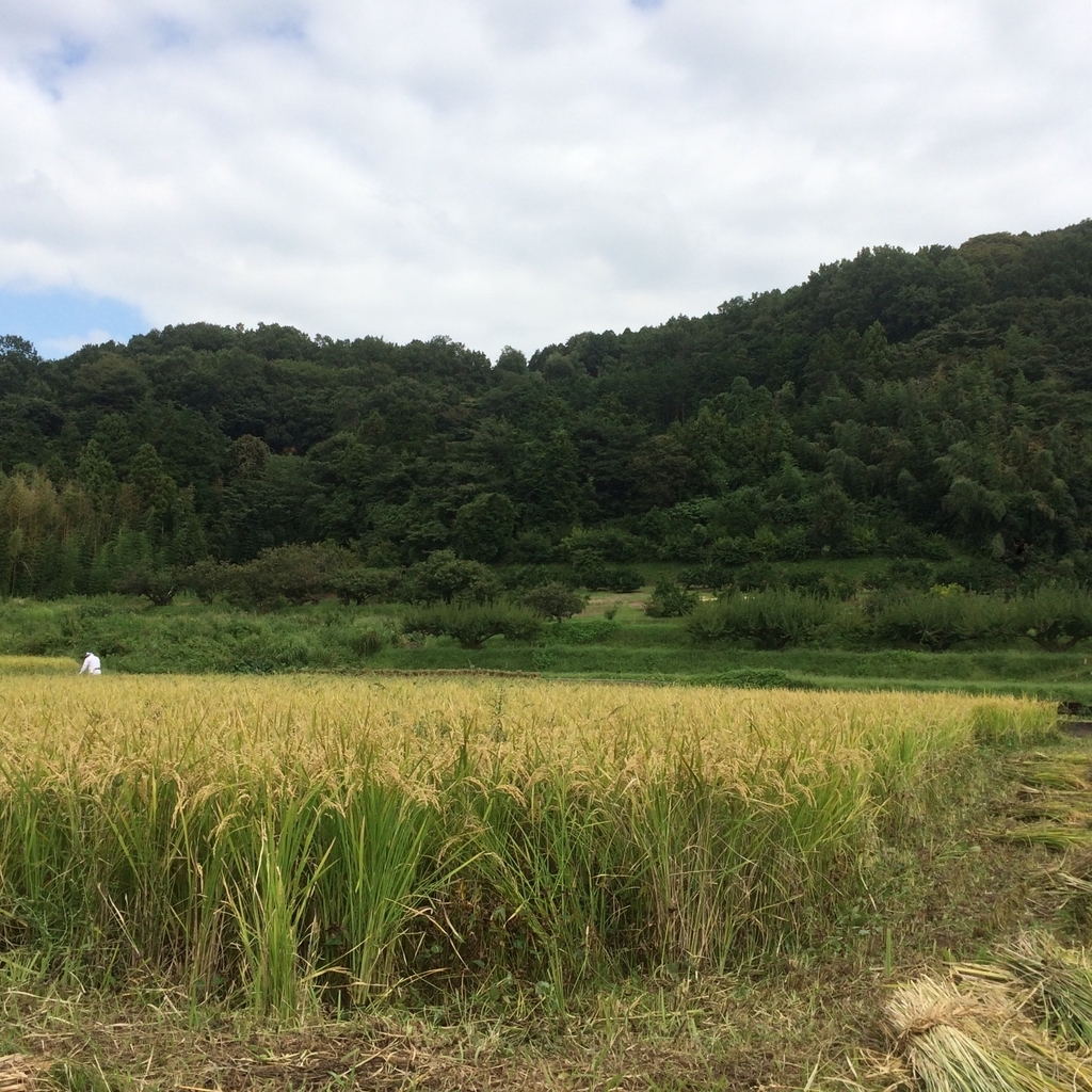 f:id:ma_naru:20180923202212j:plain f:id:ma_naru:20180923202212j:plain