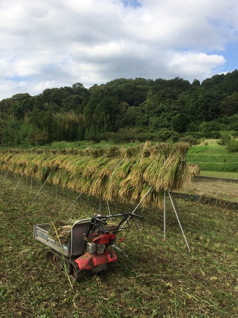 f:id:ma_naru:20180923202216j:plain f:id:ma_naru:20180923202216j:plain