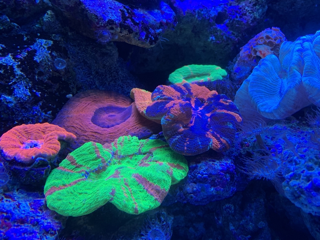 f:id:ma_naru:20190303213918j:plain f:id:ma_naru:20190303213918j:plain