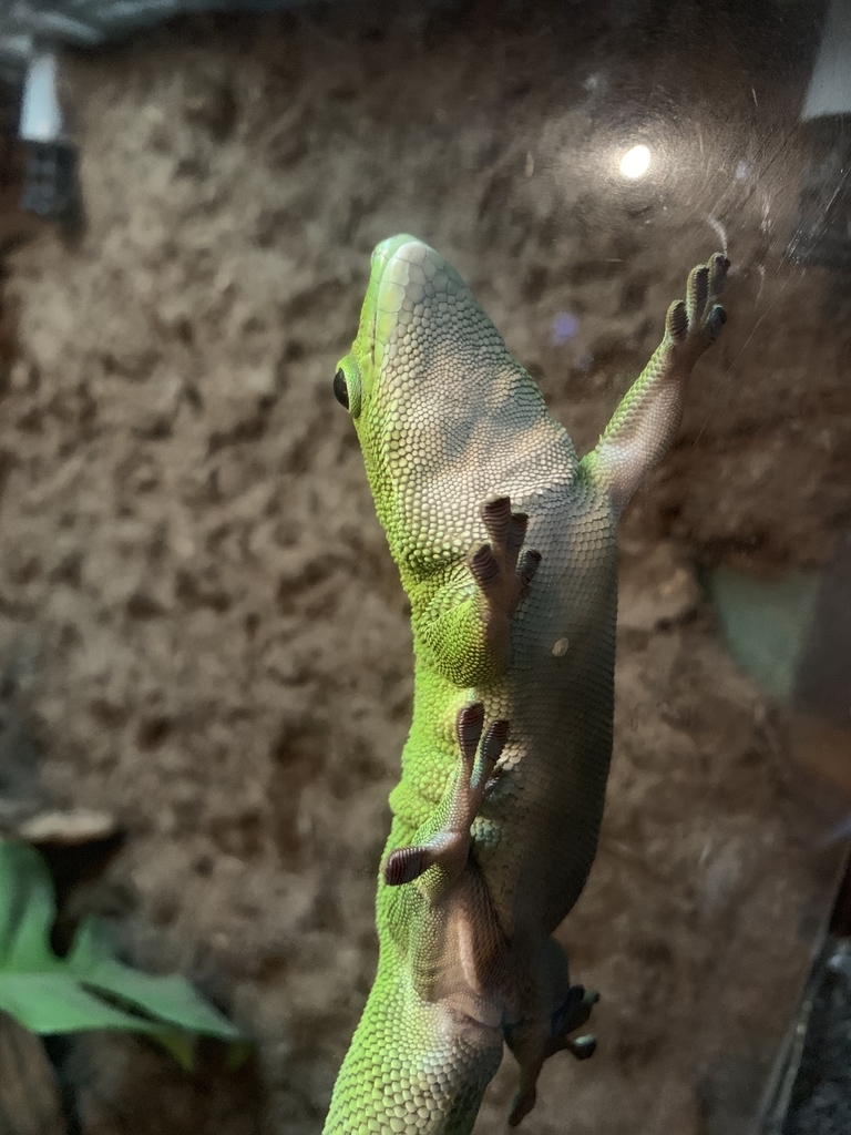 f:id:ma_naru:20190303214309j:plain f:id:ma_naru:20190303214309j:plain