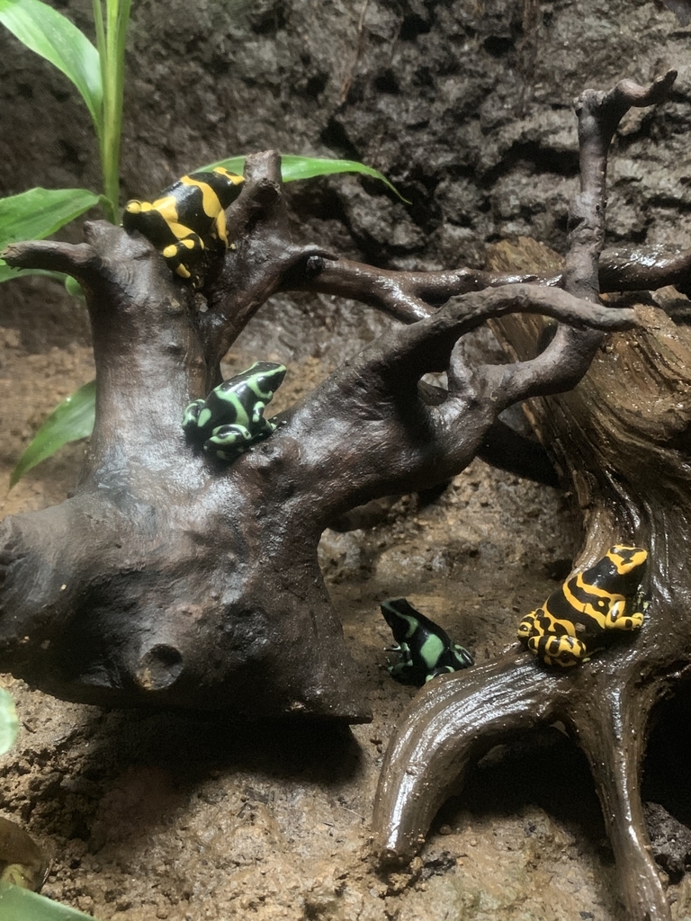 f:id:ma_naru:20190303215119j:plain f:id:ma_naru:20190303215119j:plain