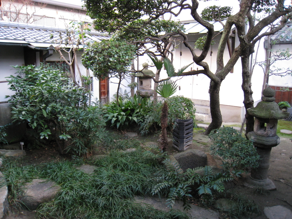 f:id:ma_naru:20190311194135j:plain