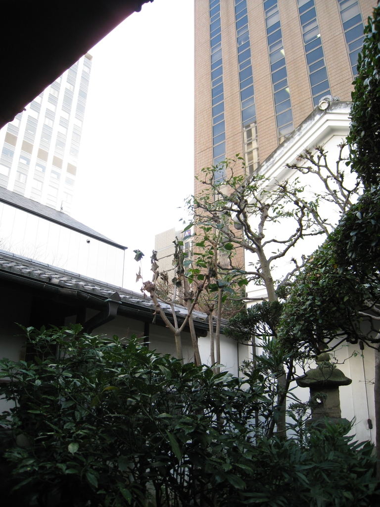 f:id:ma_naru:20190311194220j:plain