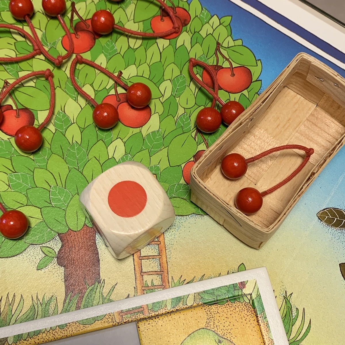 f:id:ma_naru:20190617200639j:plain f:id:ma_naru:20190617200639j:plain