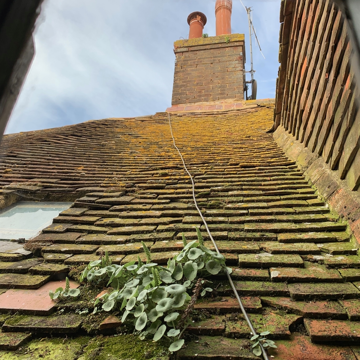 f:id:ma_naru:20190618150623j:plain f:id:ma_naru:20190618150623j:plain