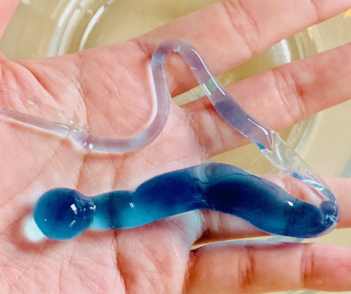 f:id:ma_naru:20190722181922j:plain