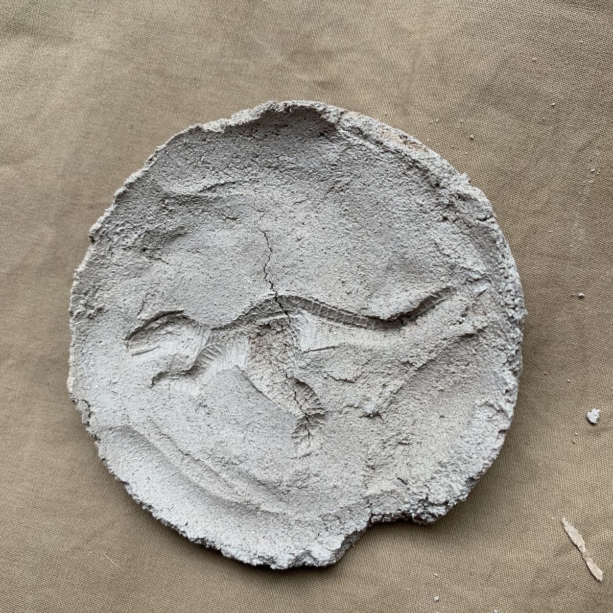 f:id:ma_naru:20190908211552j:plain