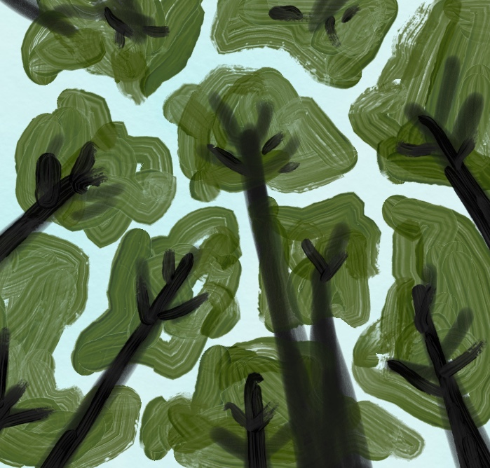 Crown Shyness 樹冠羞避 なる子とマーナル