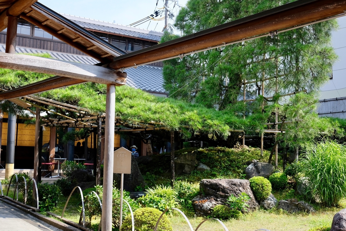 f:id:ma_naru:20200704141042j:plain f:id:ma_naru:20200704141042j:plain