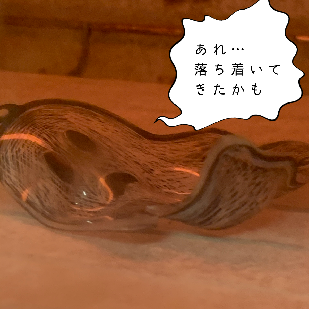 f:id:ma_naru:20201013230931p:plain