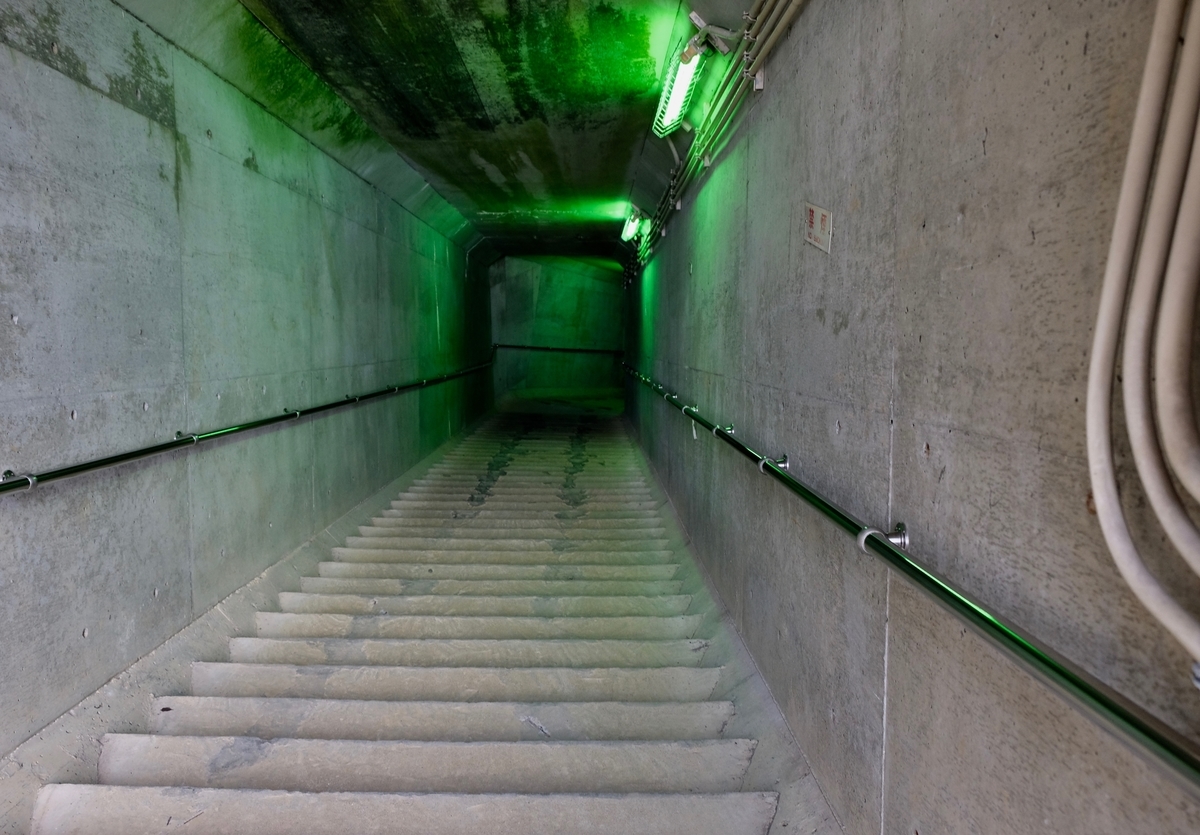 f:id:ma_naru:20201204154324j:plain