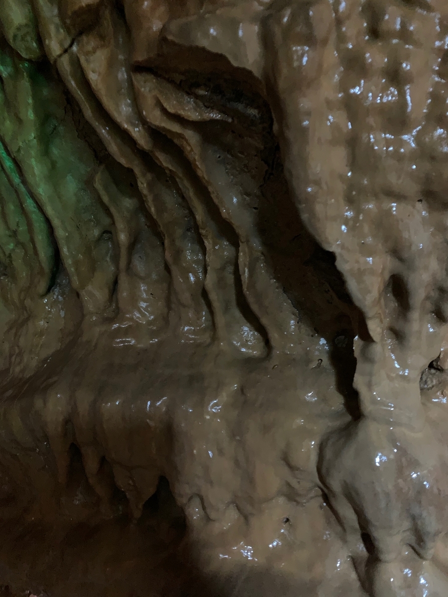 f:id:ma_naru:20201204161904j:plain