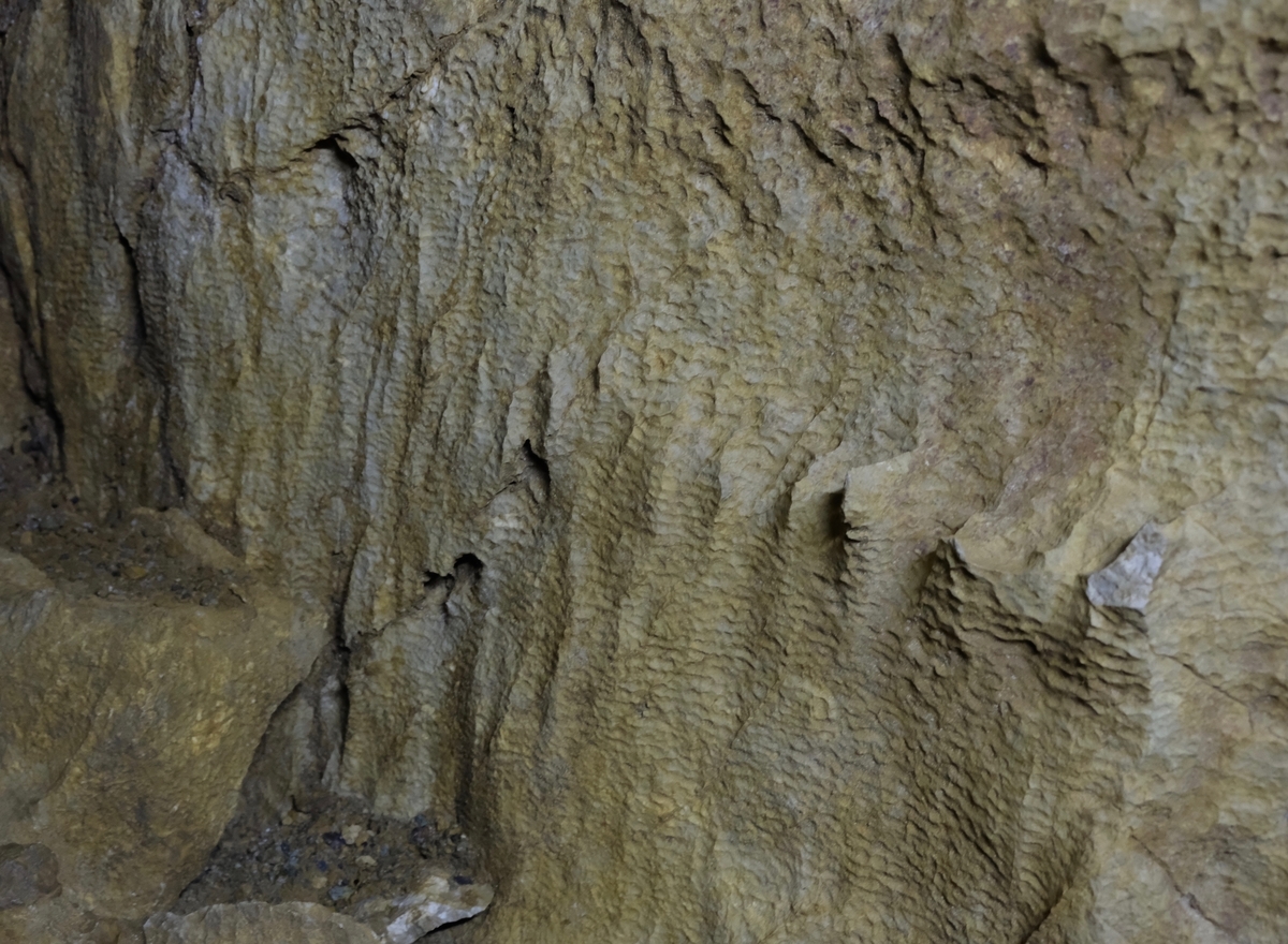 f:id:ma_naru:20201204162047j:plain