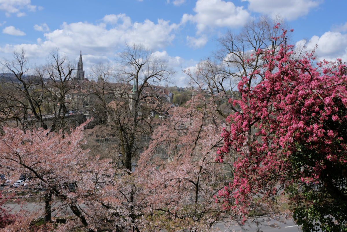 f:id:ma_naru:20220418062358p:plain