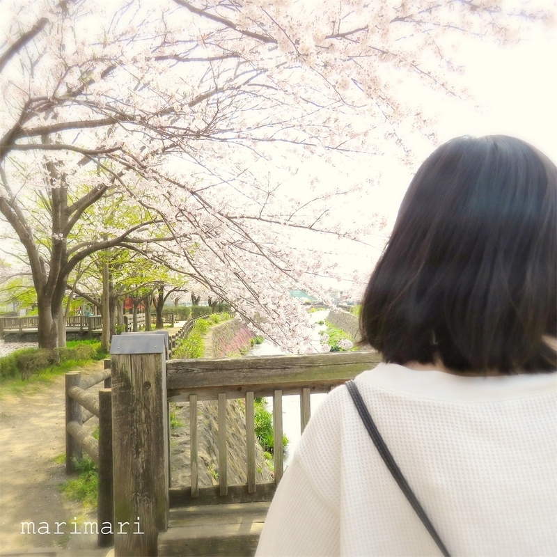 20190408102325