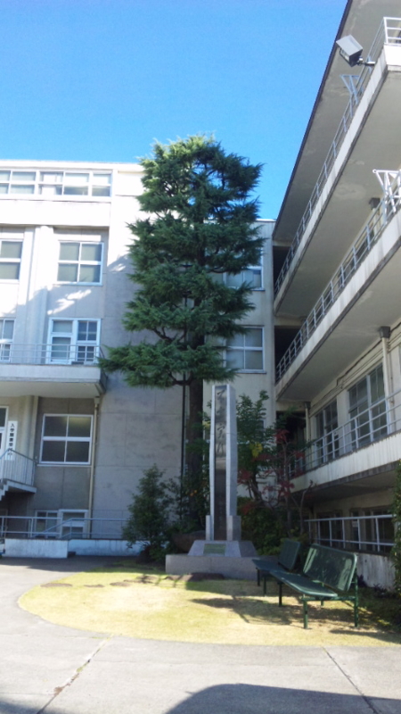 f:id:maaa-booo:20101129124900j:image